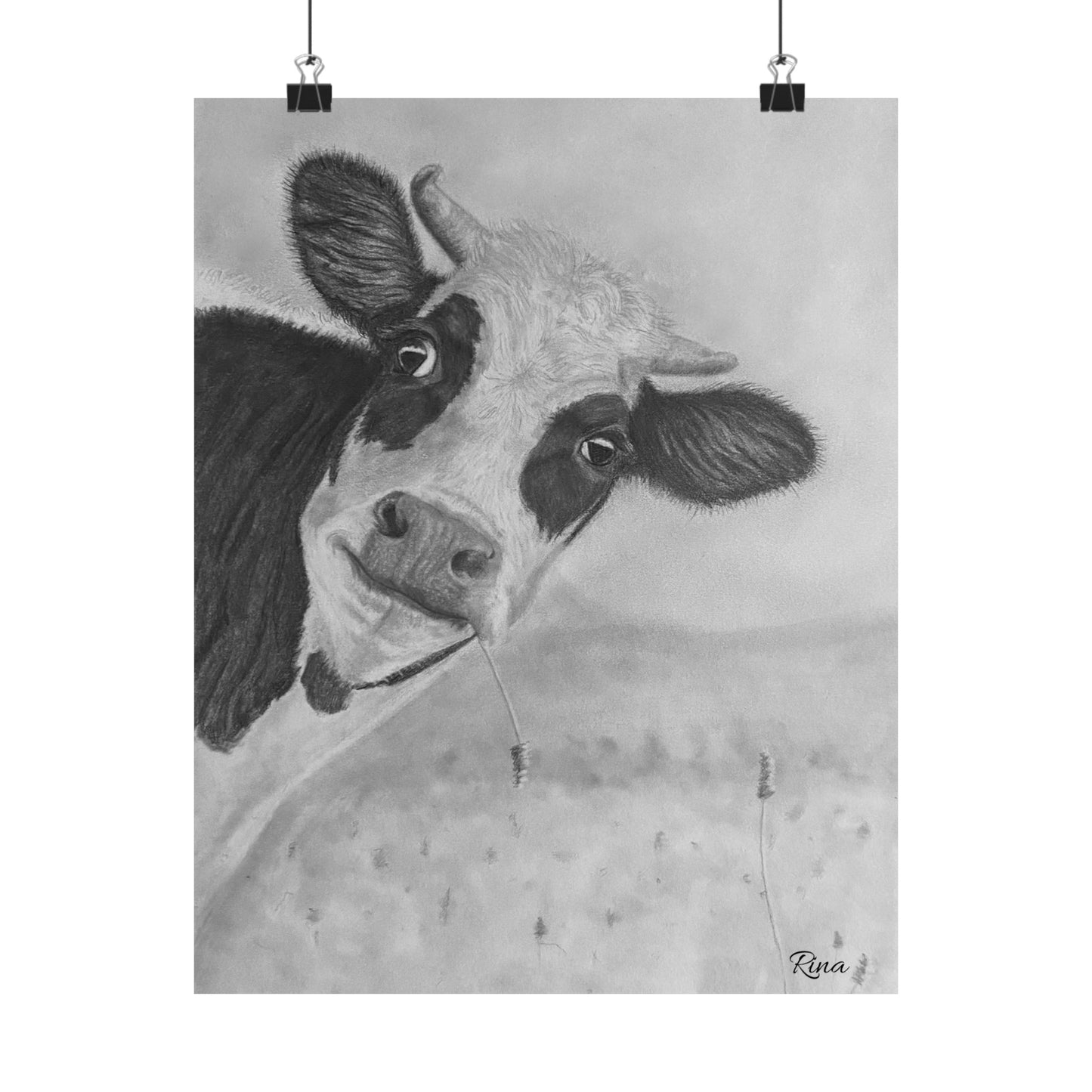 Peek A Boo Cow Cow Eating Grass Matte Poster