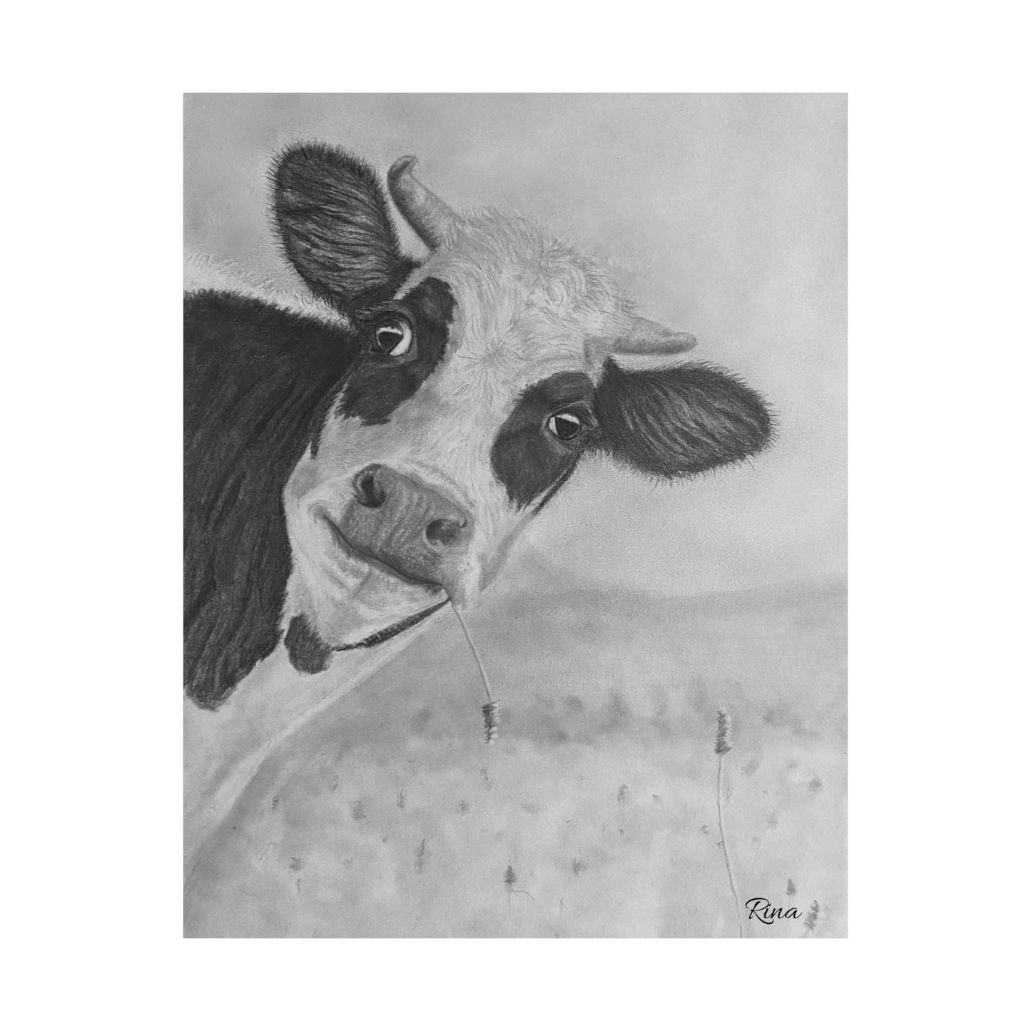 Peek A Boo Cow Cow Eating Grass Matte Poster