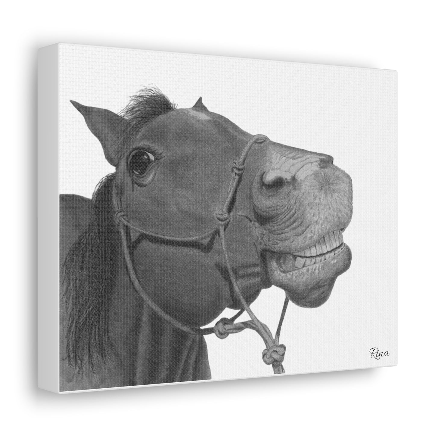 Smiling Horse Stretched Canvas Print, Happy Horse Print, Funny Horse Print