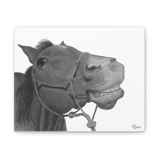 Smiling Horse Stretched Canvas Print, Happy Horse Print, Funny Horse Print