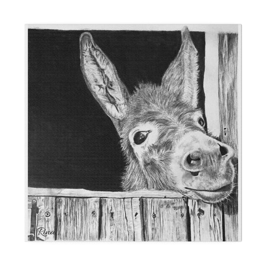 Sweet Donkey Stretched Matte Canvas