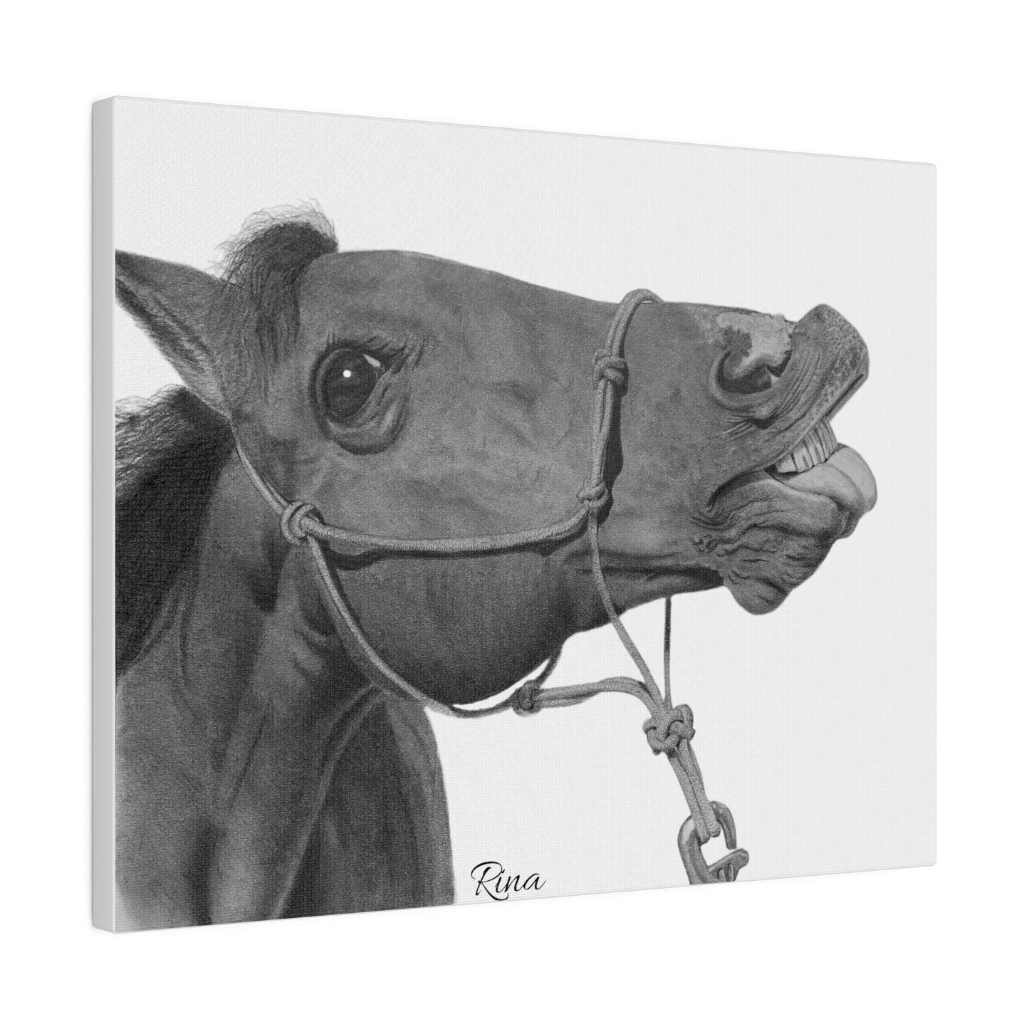 Funny Horse Stretched Matte Canvas