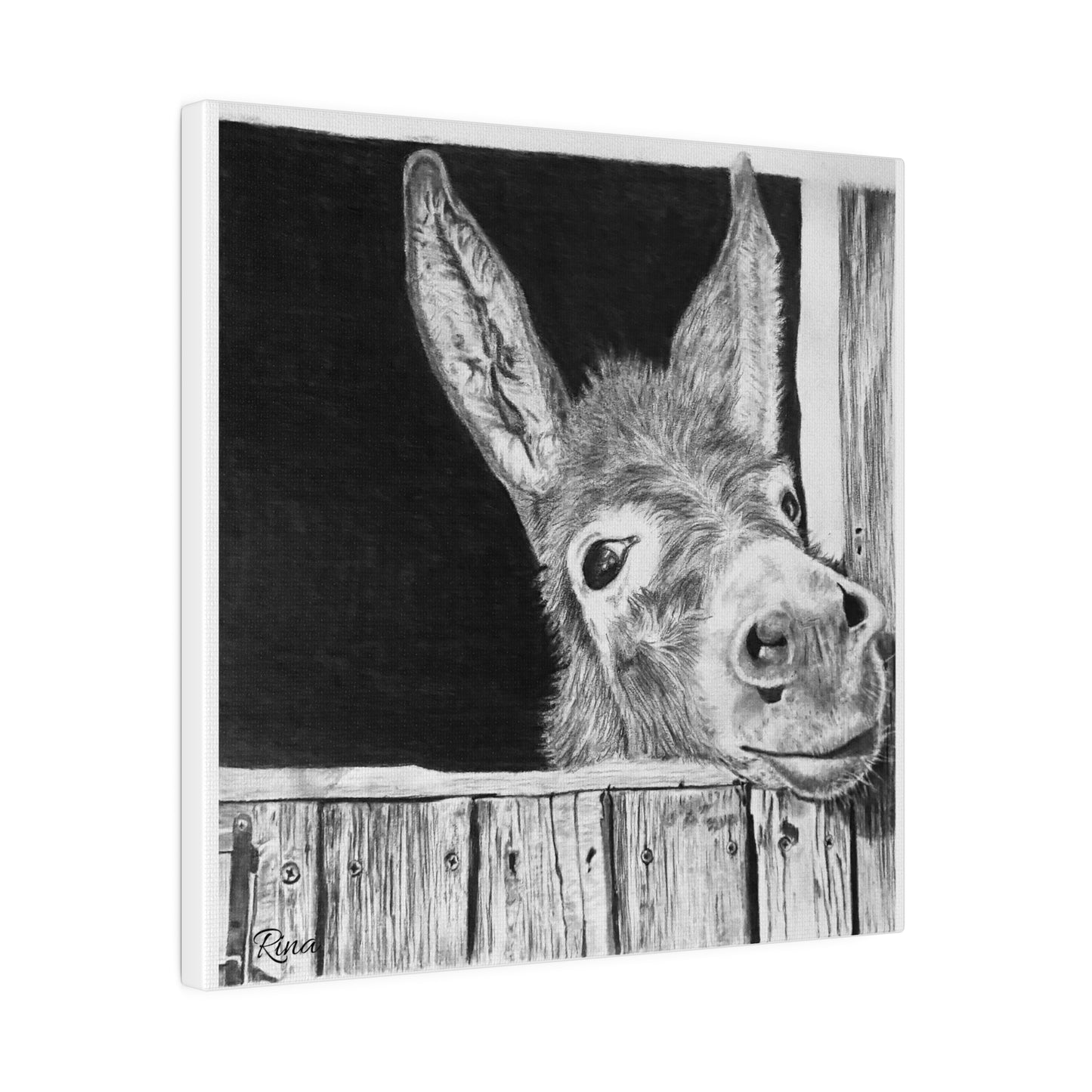 Sweet Donkey Stretched Matte Canvas