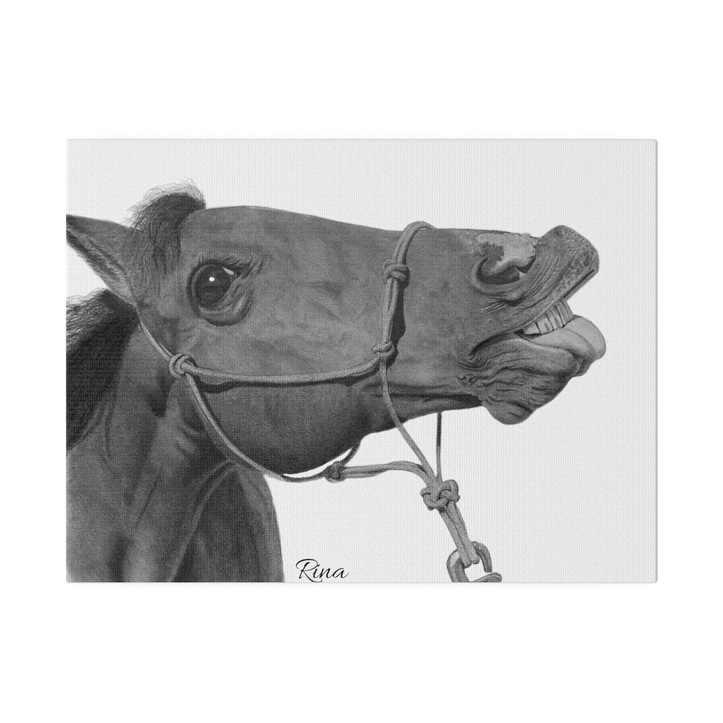 Funny Horse Stretched Matte Canvas