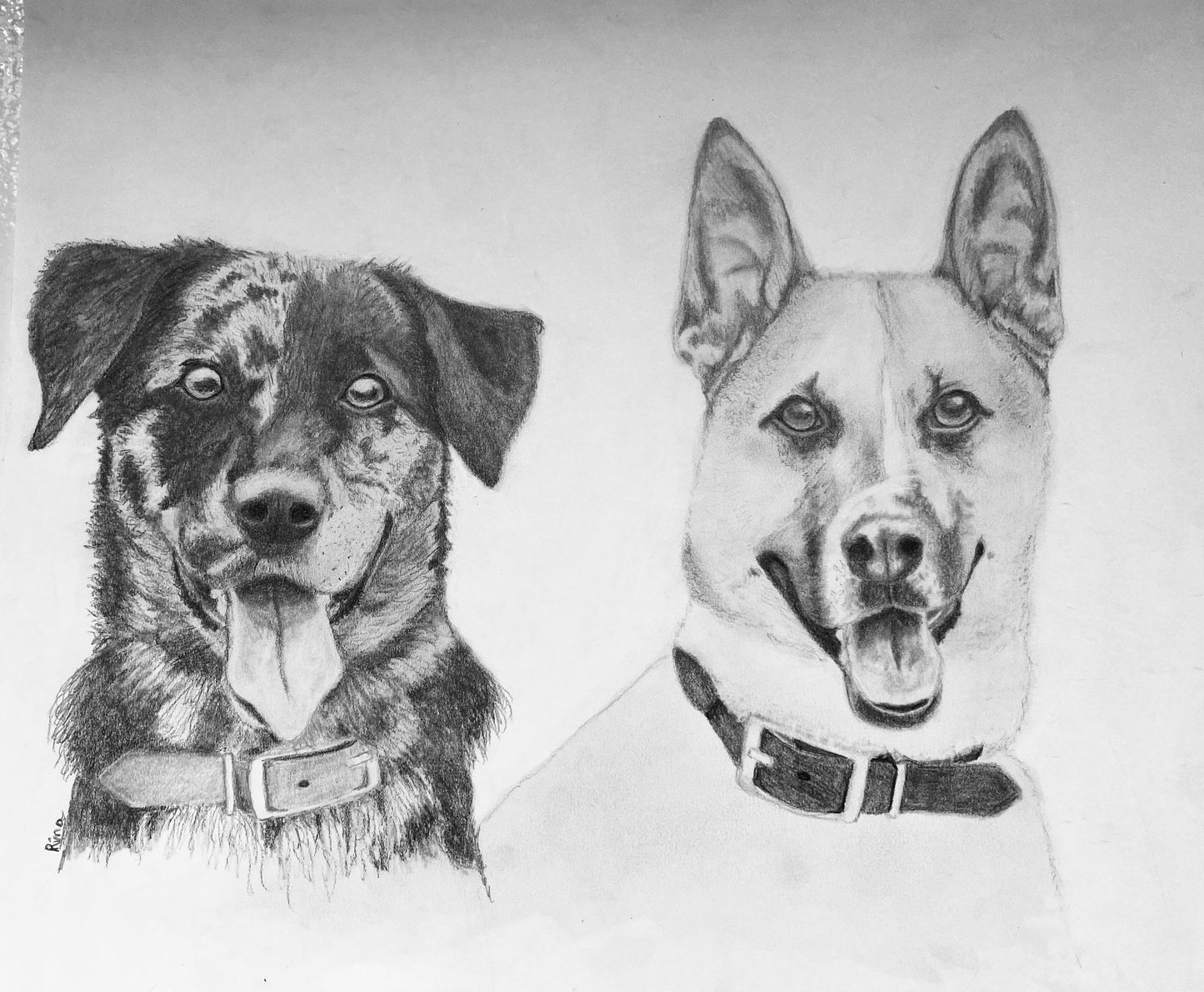 Hand Drawn Pet Portrait Art in Graphite Pencil!