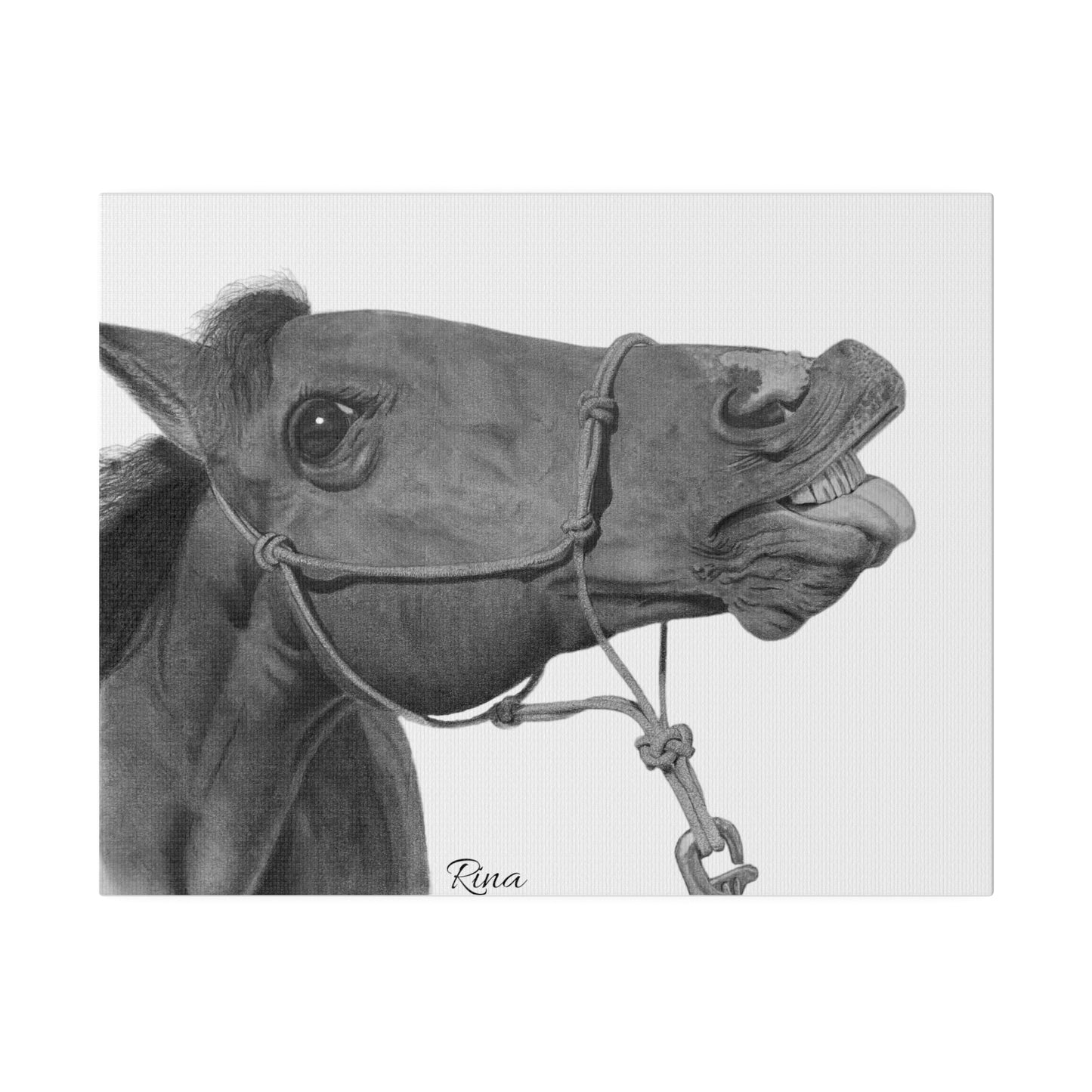 Funny Horse Stretched Matte Canvas