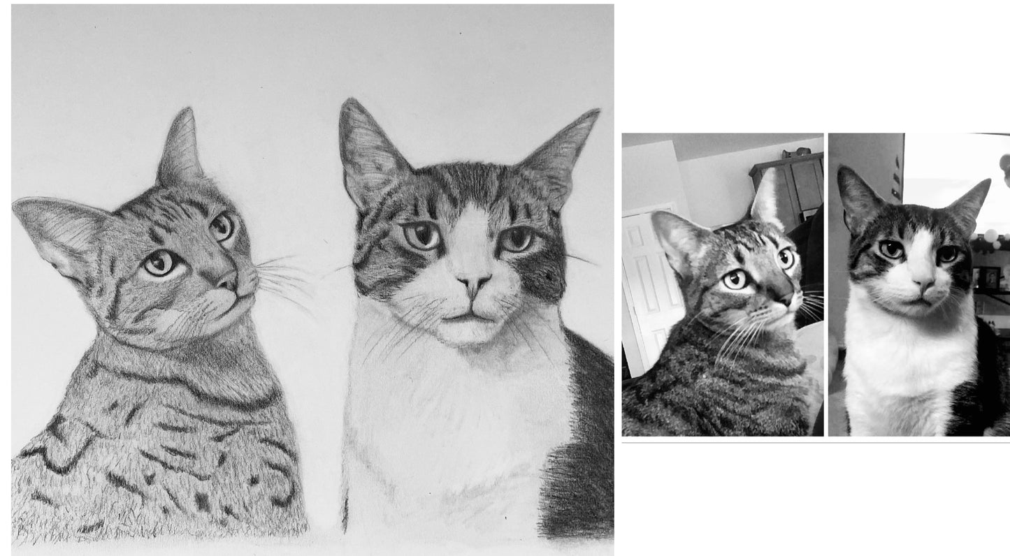 Hand Drawn Pet Portrait Art in Graphite Pencil!