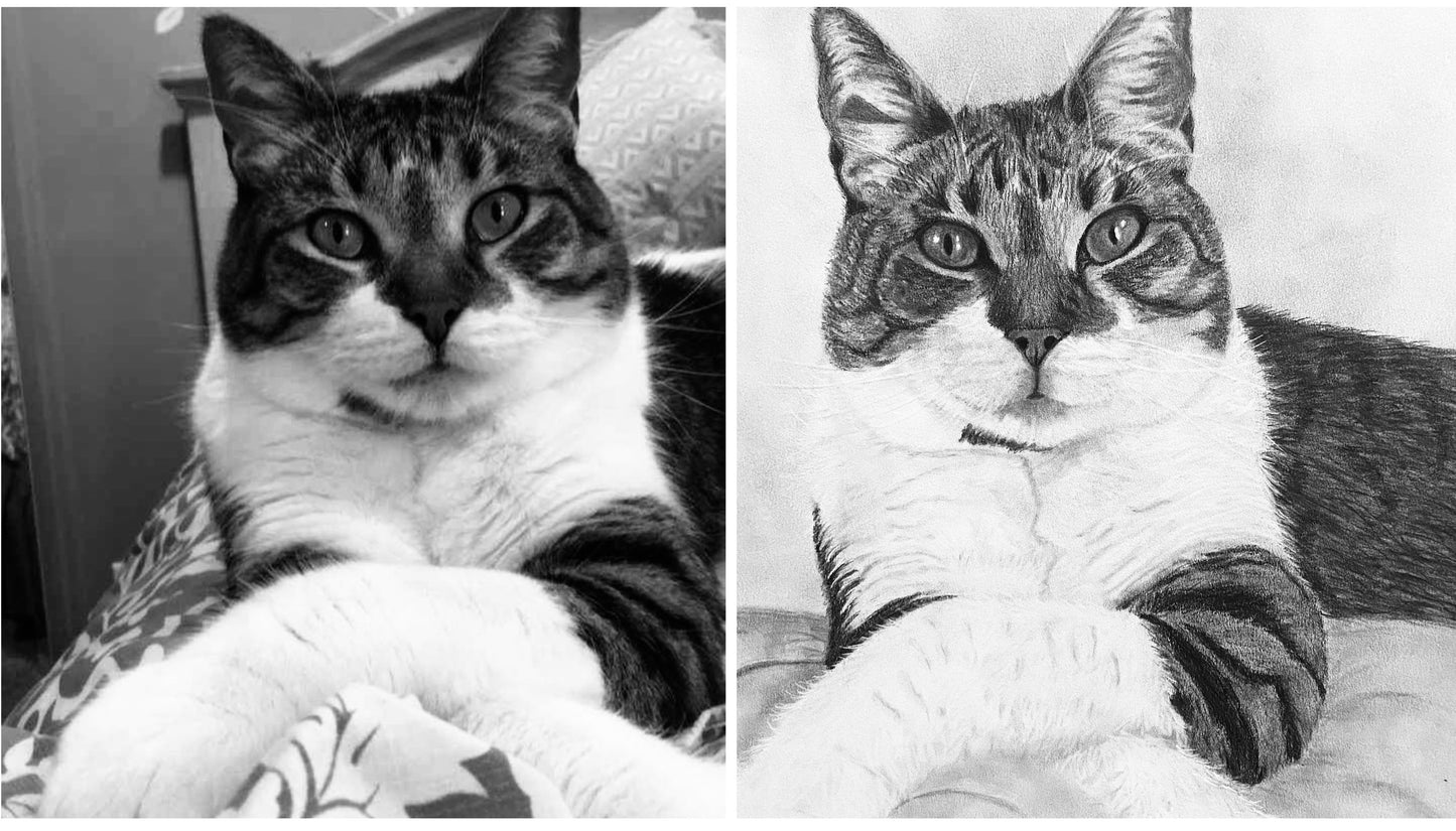 Hand Drawn Pet Portrait Art in Graphite Pencil!